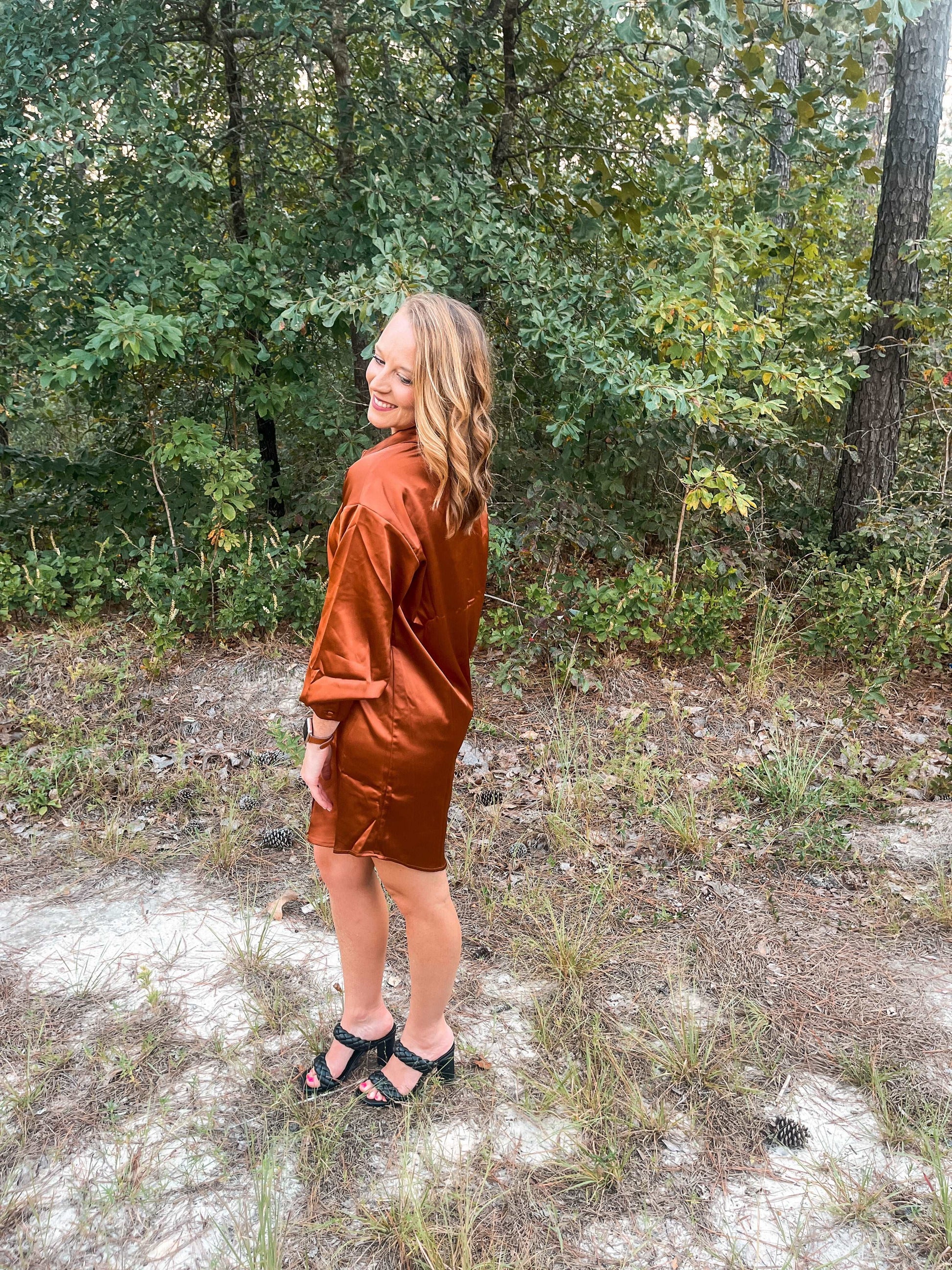Sasha Silk Dress- Rust